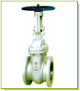 gate valve