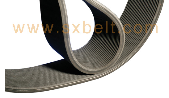 ribbed v belt/ DPL