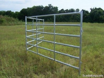 cattle panel yard