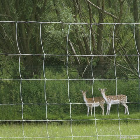 Cattle fence