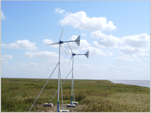 wind generator SRM-300W
