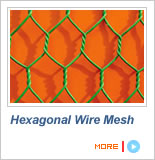 Hexagonal Wire Netting