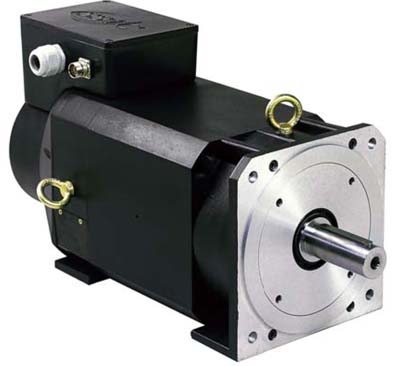 Servo Motor (Asynchronous Motor)