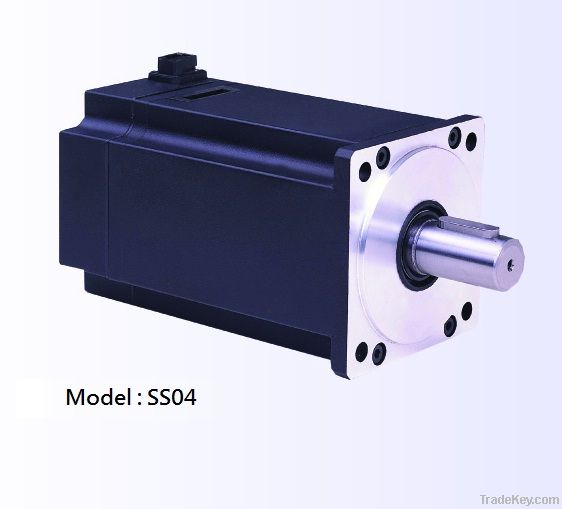 SS04-02-8 (750 w)