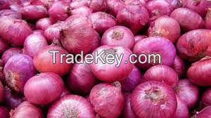 Onions