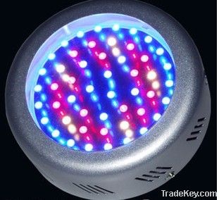 LED plant growing 50W