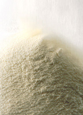 Skim Milk Powder