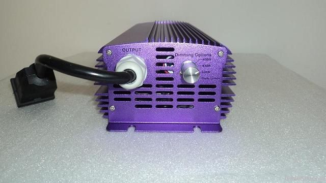 600W dimmable electronic ballast