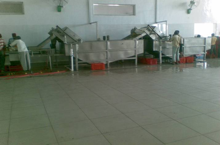 Fruit Processing Line