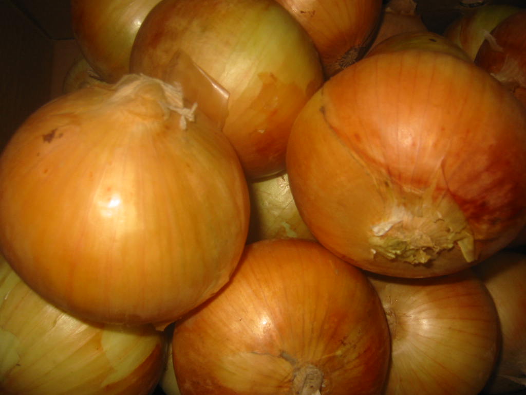 Onion