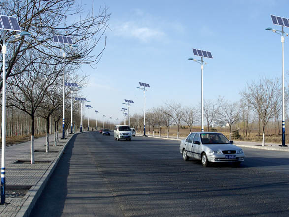 solar street light 2