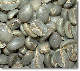 Chinese Arabica Green Coffee Beans