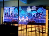 Outdoor Indoor LED Display Screen