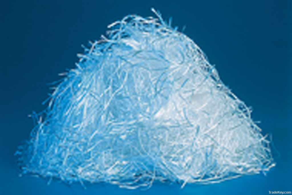 Glass fiber