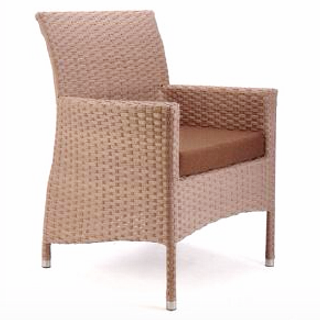 Hot Sale Modern Rattan Armrest Dining Chair for Hotel SFM3-20150522-10