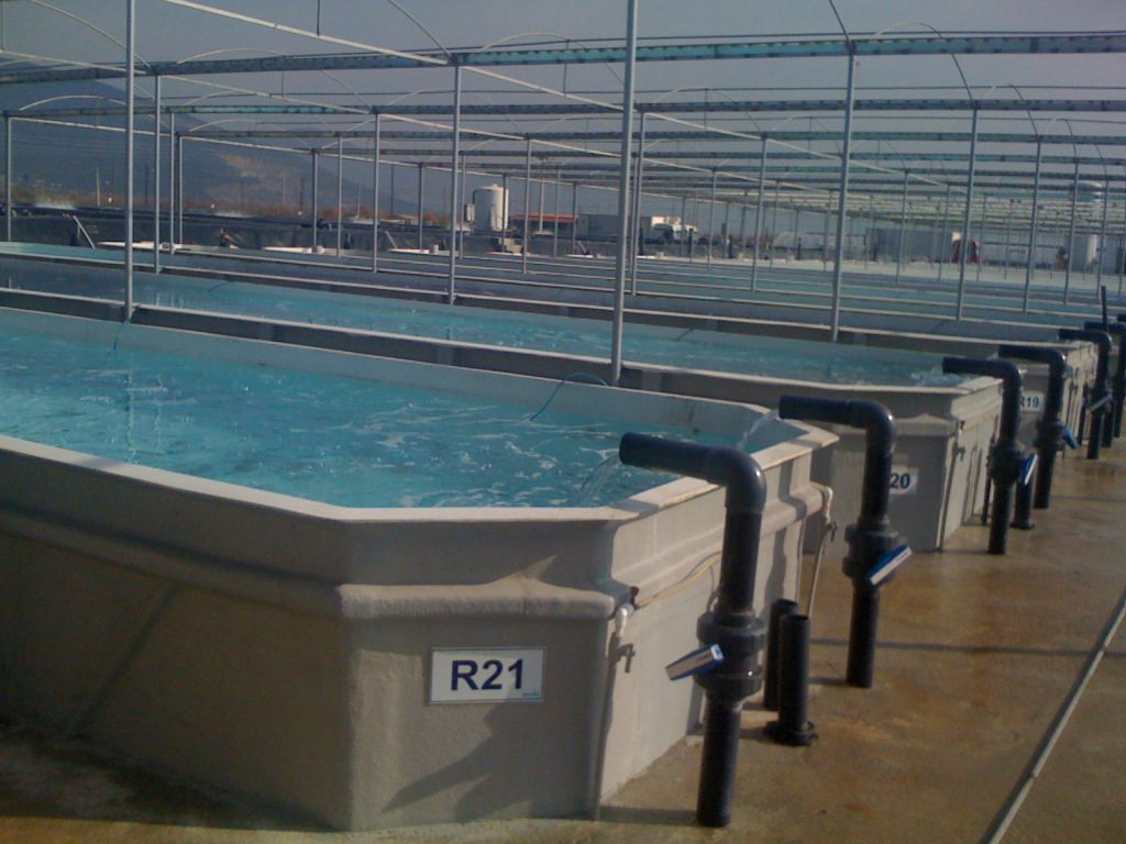 Fiberglass Aquaculture Tanks