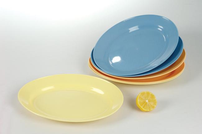 plastic dish