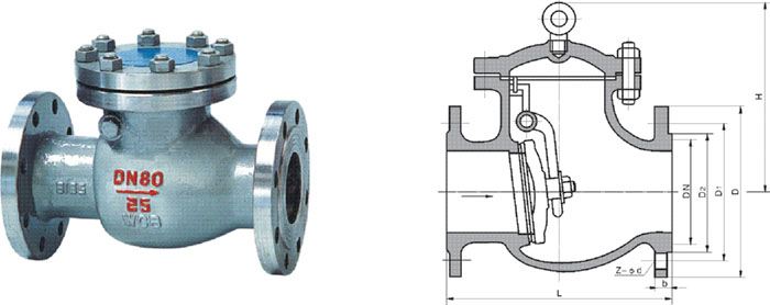 Swing check valves