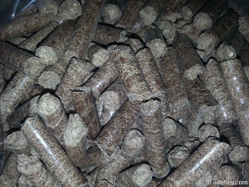 Wood Pellet