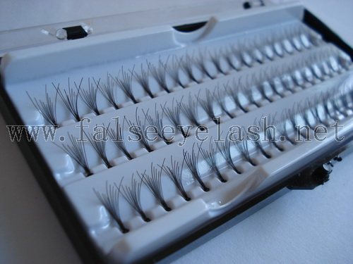 Individual Eyelashes