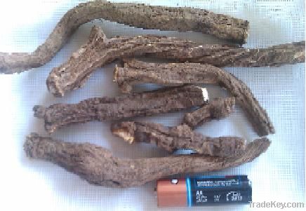 Pellitory roots from Morocco