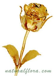 24k Gold Plated Natural Rose