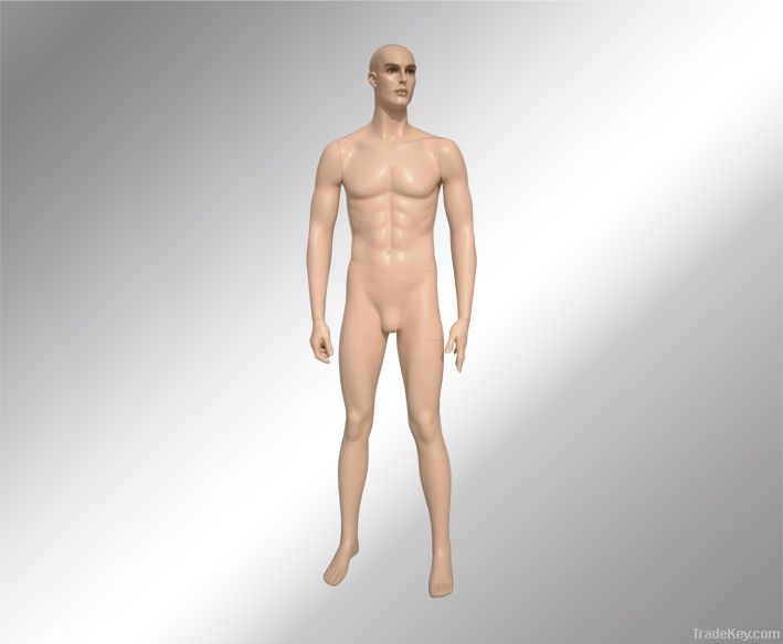 Realistic Male mannequin