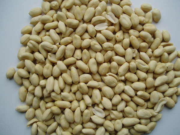 Blanched Peanuts Kernels