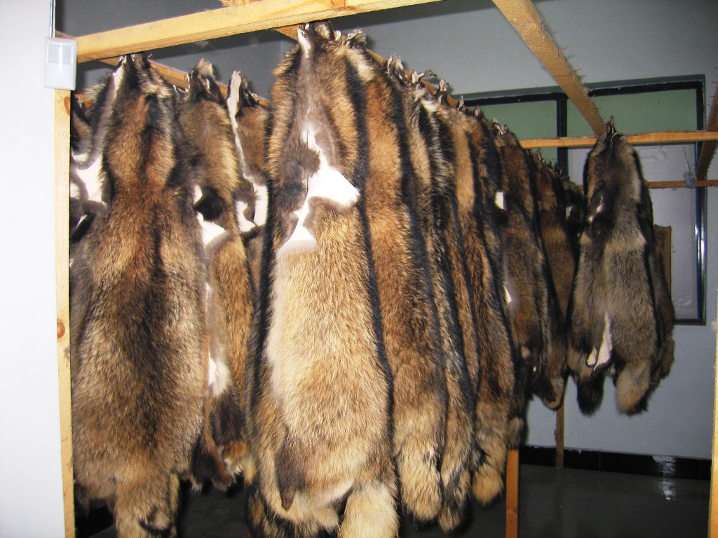 fur skins & fur products
