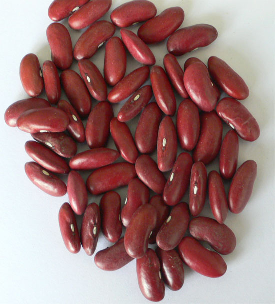 Red Kidney Beans