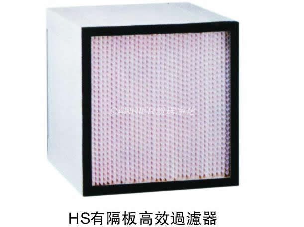 Air filter(HEPA filter)