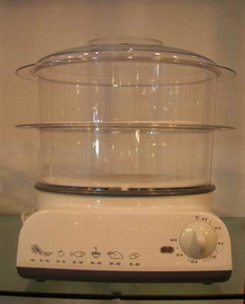 electric  steamer