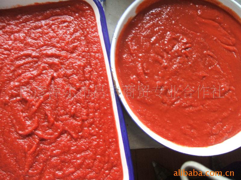 tomato paste  ketchup