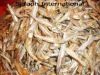 Dried Anchovy Fish