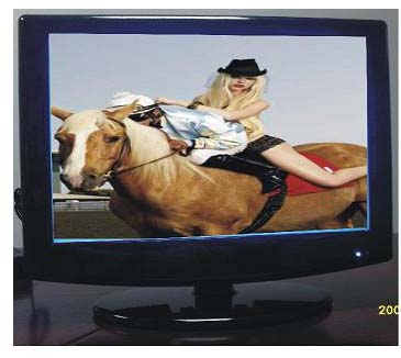 LCD TV with DVD function
