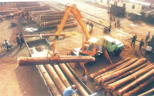 log Grabbing Crane