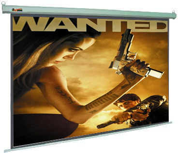 Luxurious Electric Screen, Projection/Projector Screens