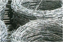 wire  mesh fencing