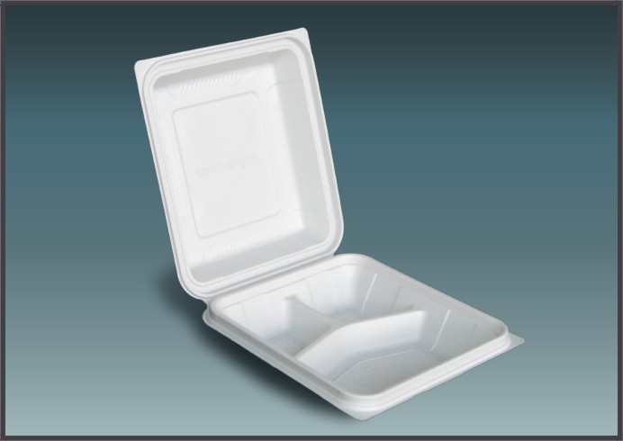 disposable lunchbox