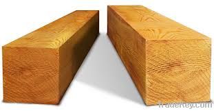 Solid wood board, cant