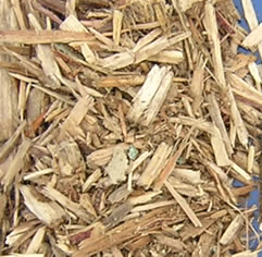 Recycled Premium Wood Chips from Cape Cod
