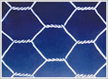 hexagonal wire mesh