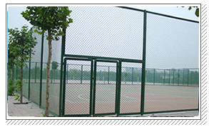Wire Mesh Griting