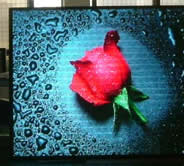 full colour  outdoor/indoor led display