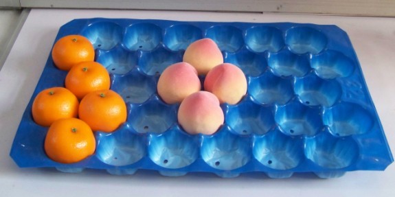 Latest Innovative Products Disposable Plastic Divided Food Tray For Fruit