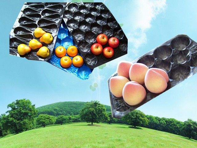 29x39cm/39x59cm PP Tray For Fruit Packaging