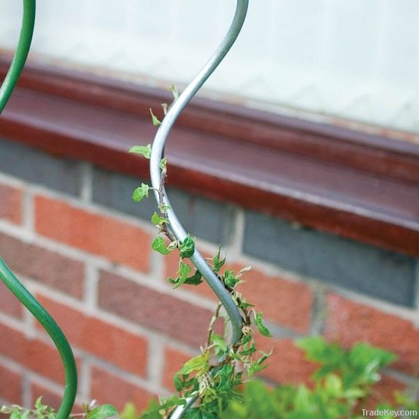tomato spiral plant wire
