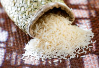 RICE SUPPLIER| PARBOILED RICE IMPORTERS| IMPORT BASMATI RICE|  BASMATI RICE EXPORTER| KERNAL RICE WHOLESALER| WHITE RICE MANUFACTURER| LONG GRAIN TRADER| BROKEN RICE BUYER| BUY KERNAL RICE| WHOLESALE WHITE RICE| LOW PRICE LONG GRAIN