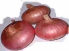 onion