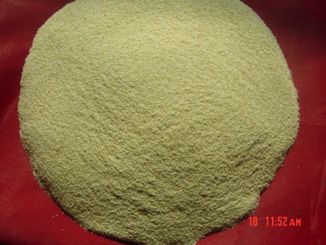 dehydrated garlic granules40-80mesh